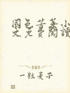 国色芳华小说全文免费阅读