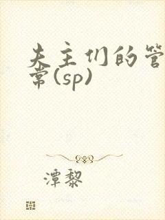 夫主们的管教日常(sp)