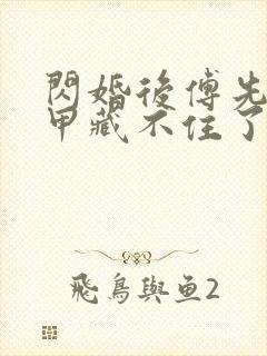 闪婚后傅先生马甲藏不住了免费阅读