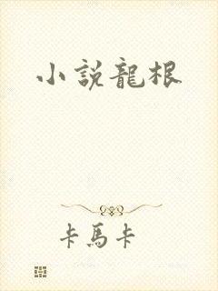 小说龙根
