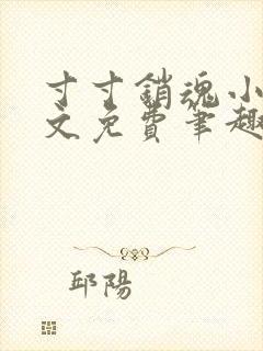 寸寸销魂小说全文免费笔趣阁