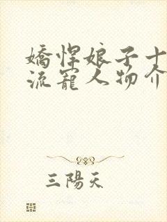 娇悍娘子十夫轮流宠人物介绍