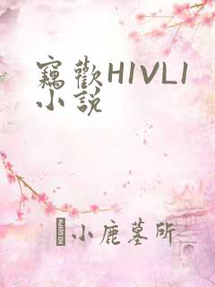窃欢H1VL1小说