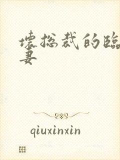 坏总裁的临时娇妻