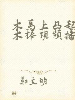 木马上凸起电动木棒视频播放