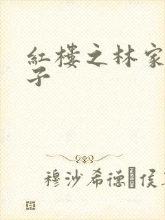 红楼之林家庶长子