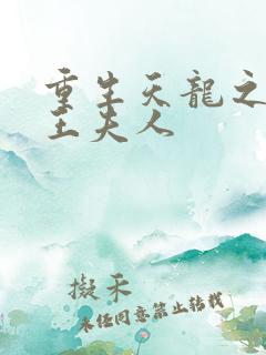 重生天龙之推倒王夫人