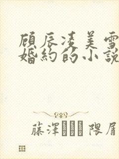 顾辰凌美雪五份婚约的小说名字叫什么