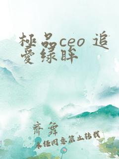 极品ceo 追爱绿眸