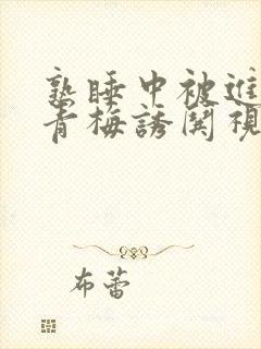 熟睡中被进了H青梅诱哄视频