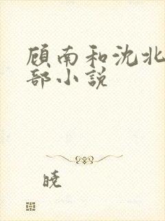 顾南和沈北是哪部小说