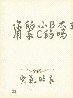 你的小B不就是用来C的吗