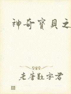 神奇宝贝之小洛