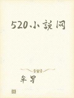 520小说网