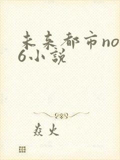 未来都市no.6小说