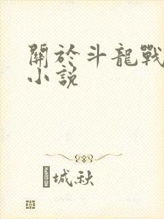 关于斗龙战士的小说