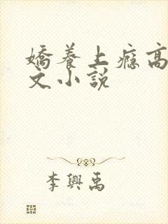 娇养上瘾高H爽文小说