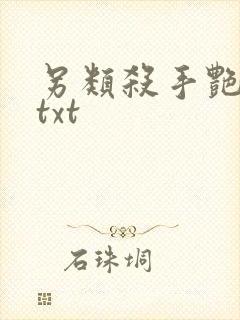 另类杀手艳福星txt