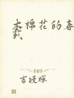 木棉花的春天下载