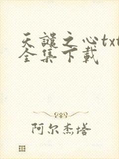天谴之心txt全集下载