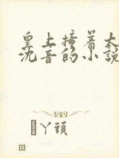 皇上撞着太子妃沈音的小说叫什么