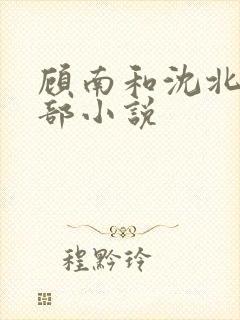 顾南和沈北是哪部小说