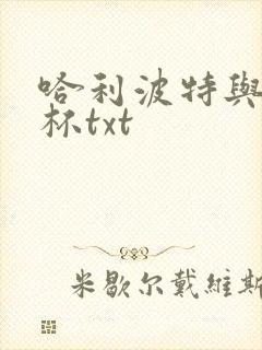 哈利波特与火焰杯txt