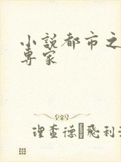 小说都市之军火专家