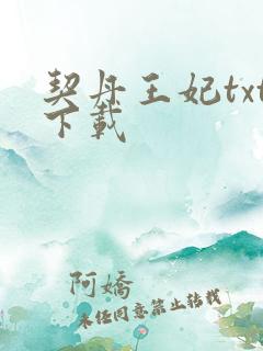 契丹王妃txt下载