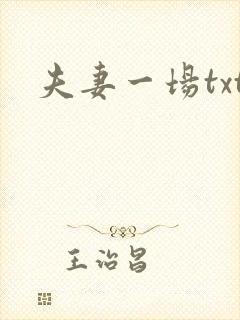 夫妻一场txt