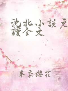 沈北小说免费阅读全文