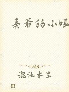 秦爷的小哑妻