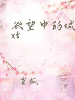 欲望中的城市txt