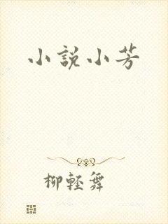 小说小芳
