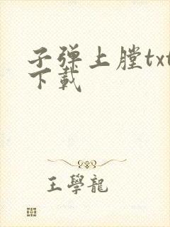 子弹上膛txt下载