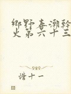 乡野春潮干柴烈火第六十三章