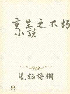 重生之不朽传奇 小说