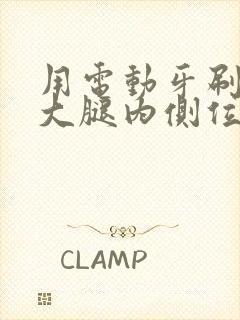 用电动牙刷放在大腿内侧位置作文