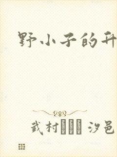 野小子的升官路