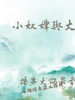 小奴婢与大少爷