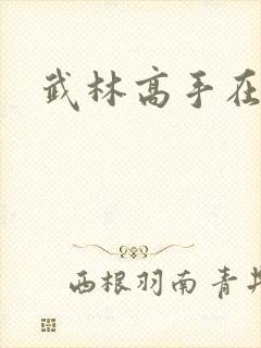 武林高手在异界