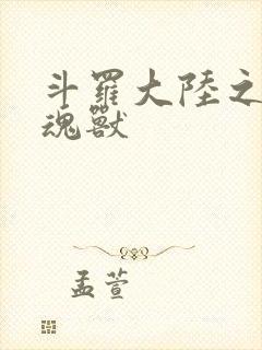 斗罗大陆之最强魂兽