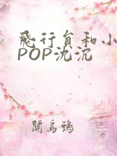 飞行员和小空乘POP沈沉