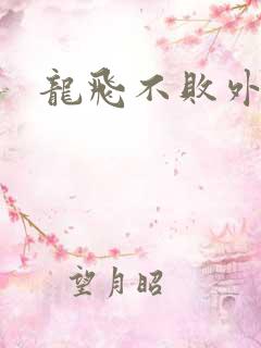 龙飞不败外传