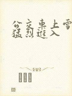 公交车上雪柔被猛烈进入