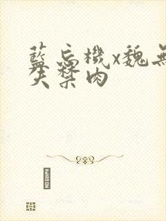 蓝忘机x魏无羡失禁肉