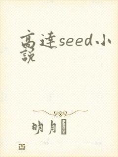 高达seed小说