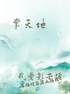 掌天地