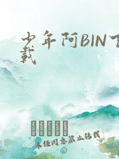 少年阿BIN下载