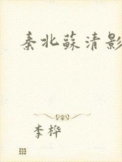 秦北苏清影小说